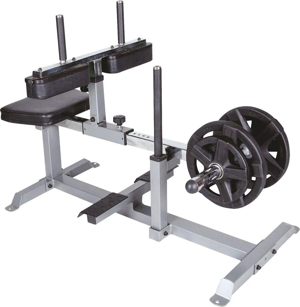 Amila Seated calf raise machine (93701)