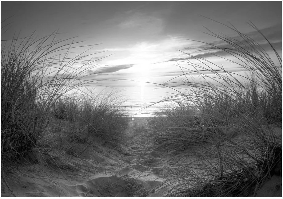 Αυτοκόλλητη φωτοταπετσαρία - beach (black and white) - 294x210