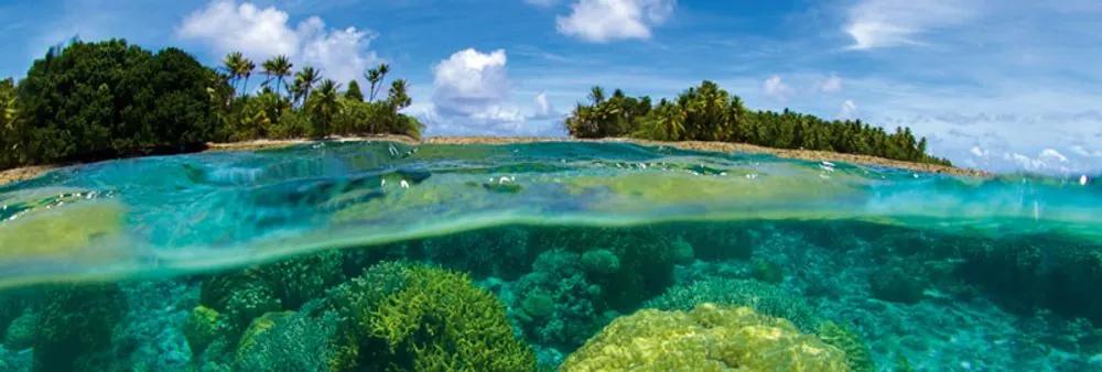 Αυτοκόλλητη φωτοταπετσαρία για κοραλλιογενή ύφαλο κουζίνας
