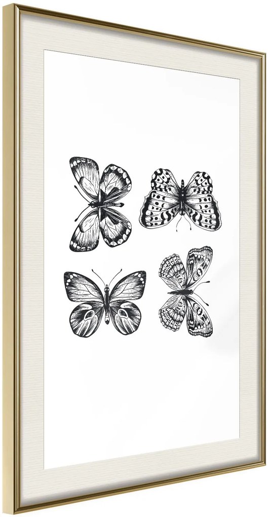 Αφίσα - Butterfly Collection III B - 20x30 - Χρυσό - Με πασπαρτού