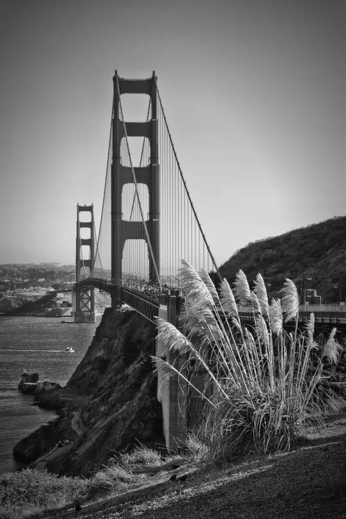 Φωτογραφία San Francisco Golden Gate Bridge, Melanie Viola