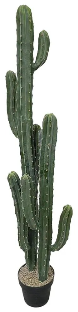 Τεχνητό Φυτό Εφόρμπια 5101-6 143cm Green Supergreens Polyethylene