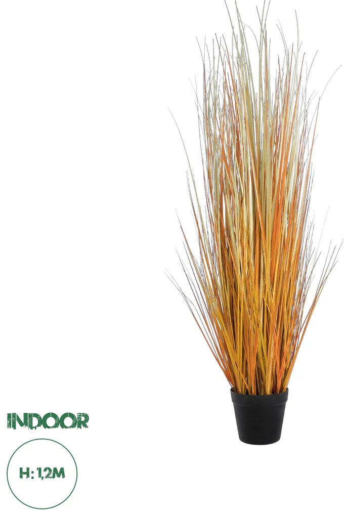 20115 GloboStar® Artificial Garden BUCHANAN'S SEDGE GRASS 20115 Τεχνητό Διακοσμητικό Φυτό Γρασίδι του Μπουχανάν Υ120cm