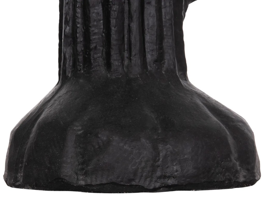 ΔΙΑΚΟΣΜΗΤΙΚΟΣ ΚΑΚΤΟΣ ΔΑΠΕΔΟΥ CACTUS HM4386.01L ΓΥΨΟΣ ΣΕ ΜΑΥΡΟ 63x37x150Υεκ.