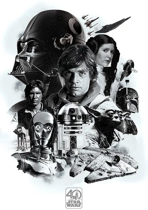 Αφίσα Star Wars - 40η επέτειος, (61 x 91.5 cm)