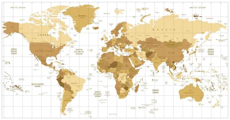 Εικόνα σε έναν παγκόσμιο χάρτη από φελλό μπεζ σε ανοιχτόχρωμο φόντο - 100x50  peg
