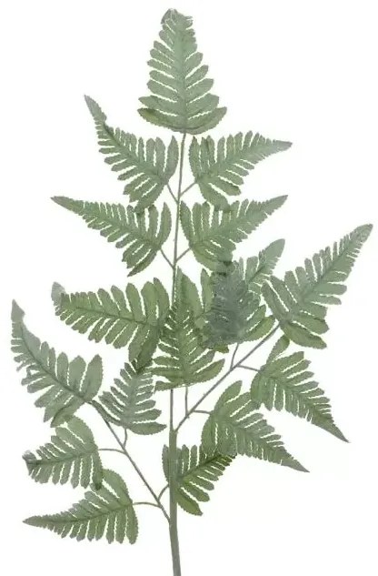 Beauty Home ΦΤΕΡΗ 38x116cm