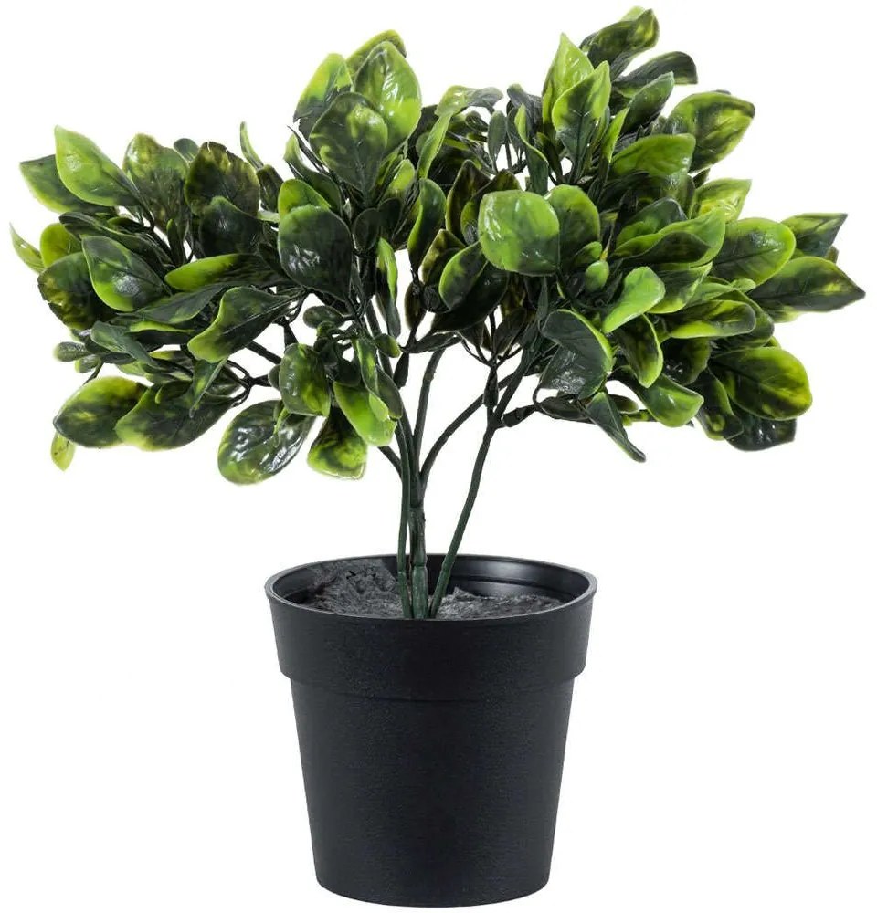 Τεχνητό Φυτό Anubia Barteri 20390 30cm Green Globostar Polyethylene