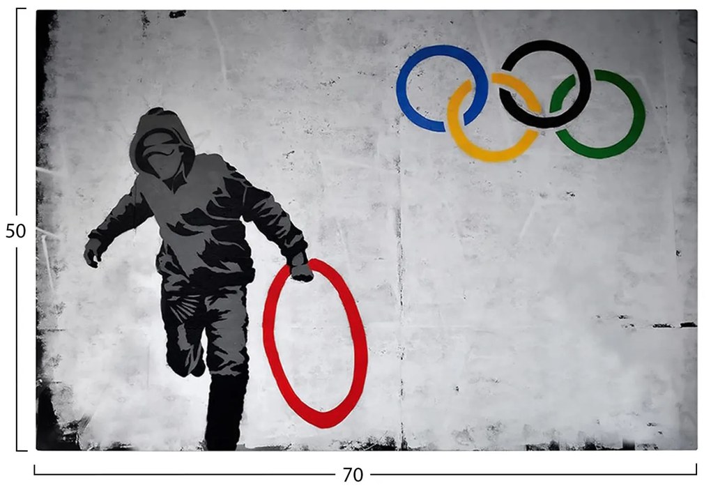 Πίνακας Τοίχου Σειρά GOBI C4827 Εκτυπωμένος Καμβάς 70x3(πάχος)x50Yεκ. 70x3x50 εκ.