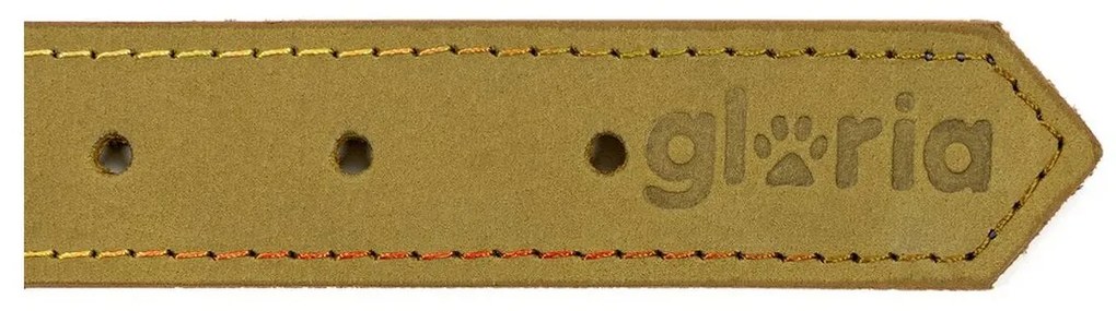 Κολλάρο Σκύλου Gloria Oasis Πράσινο (50 x 2,1 cm)