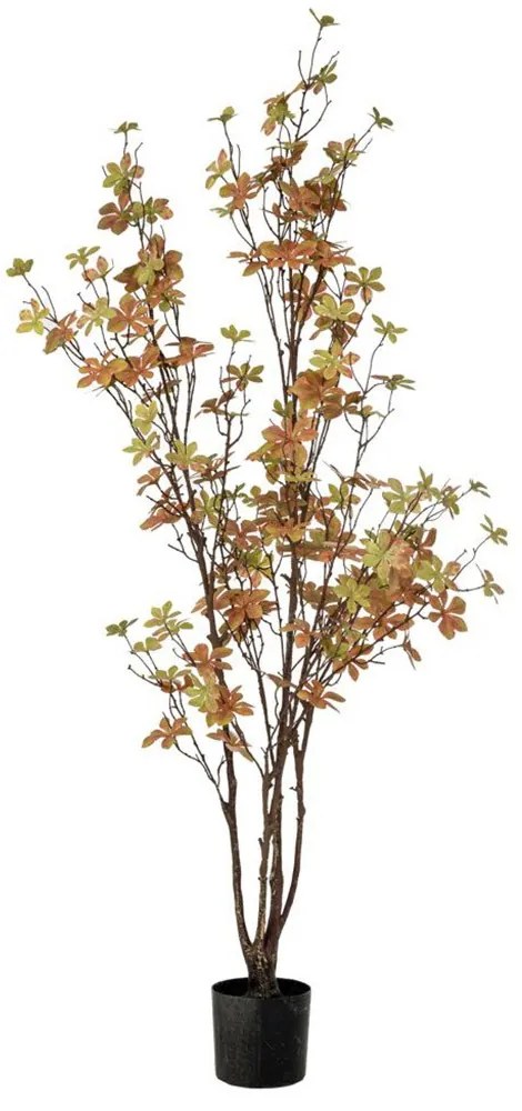 Φυτό Enkianthus 89786 120cm Natural-Green Πλαστικό