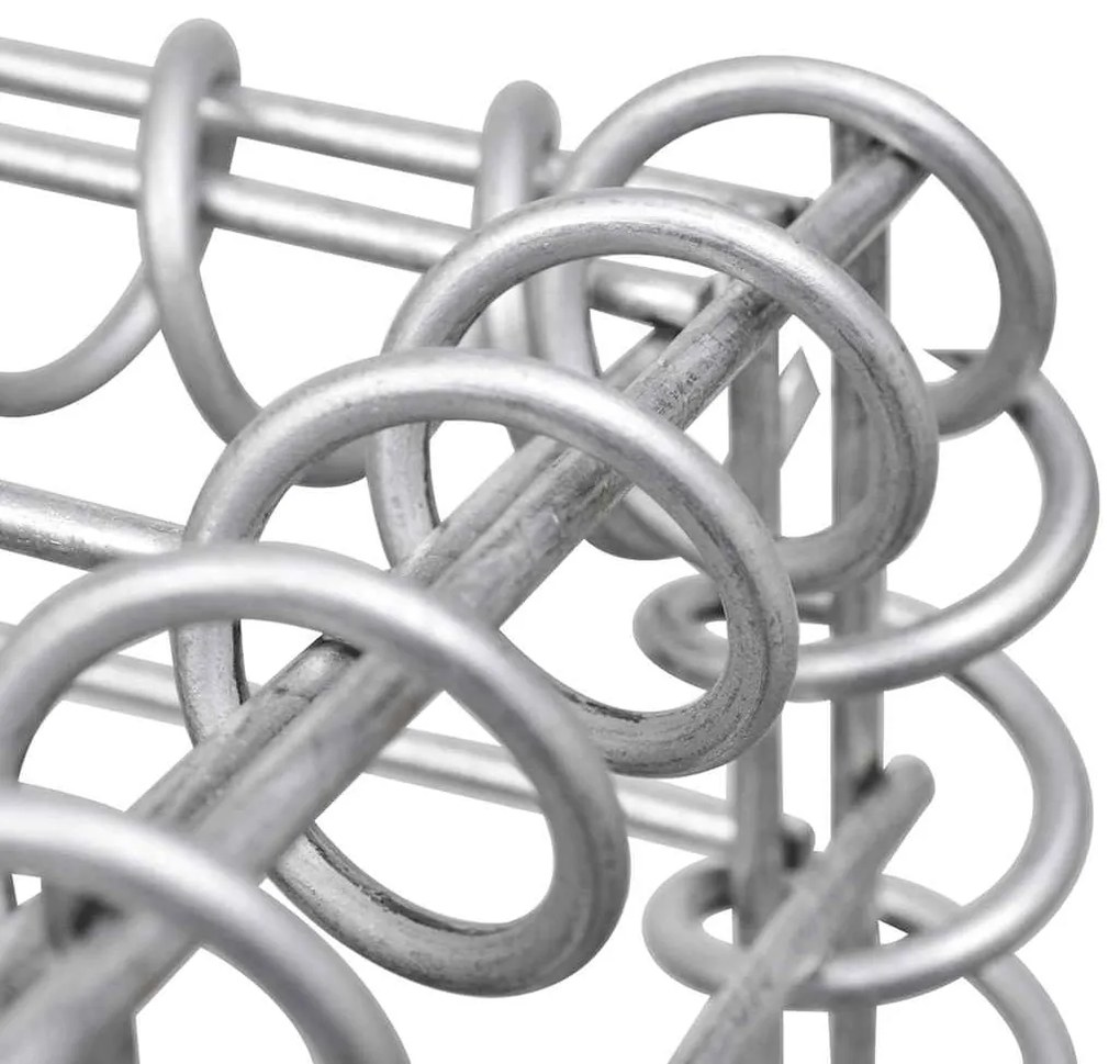 vidaXL Συρματοκιβώτιο Τοίχος 300x50x50 εκ. Γαλβαν.Χάλυβας + Καλύμματα