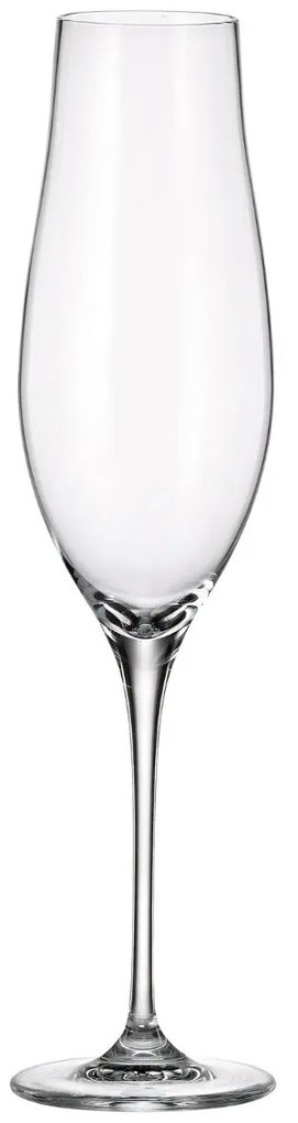 Ποτήρι Σαμπάνιας 200ml Limosa - Crystal Bohemia - 6 ΤΜΧ