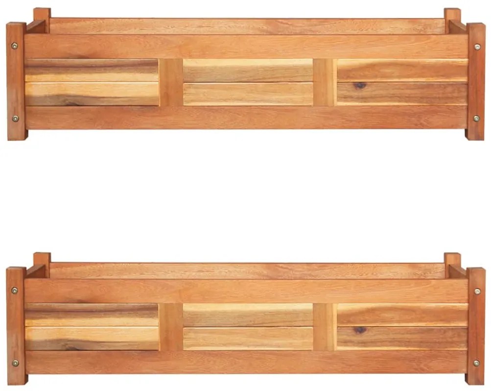 vidaXL Ζαρντινιέρες Υπερυψωμένες 2 τεμ. 100x30x25 εκ. από Ξύλο Ακακίας