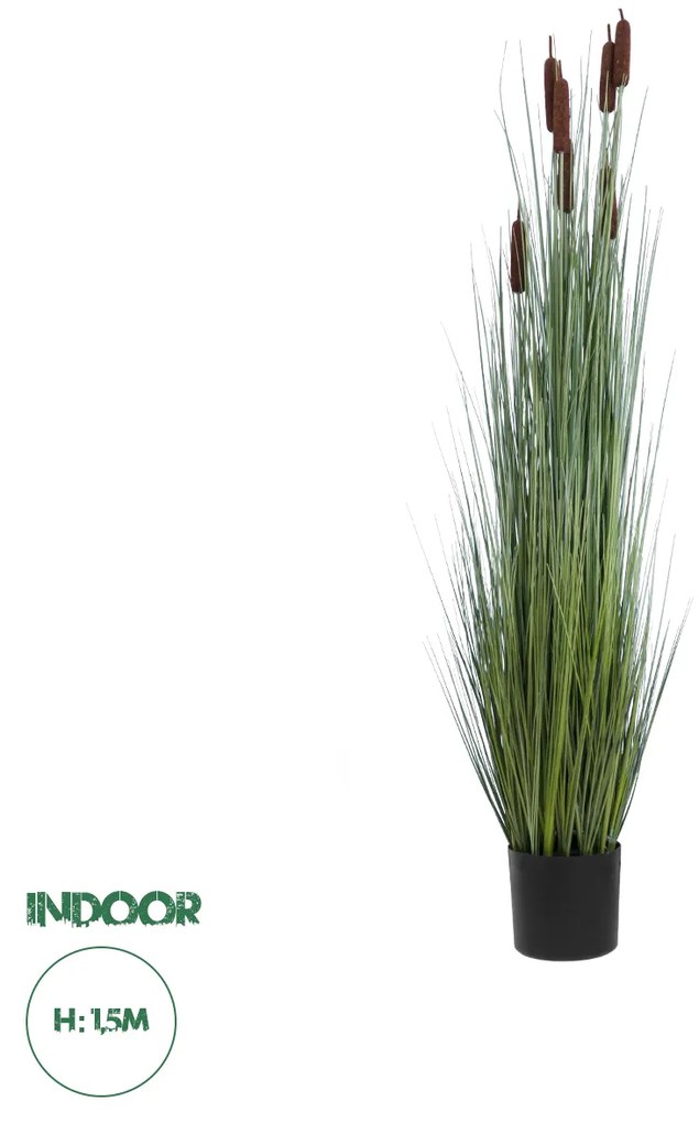 GloboStar® Artificial Garden TYPHA ANGUSTIFOLIA GRASS 20113 Τεχνητό Διακοσμητικό Φυτό Γρασίδι της Τύφας Υ150cm