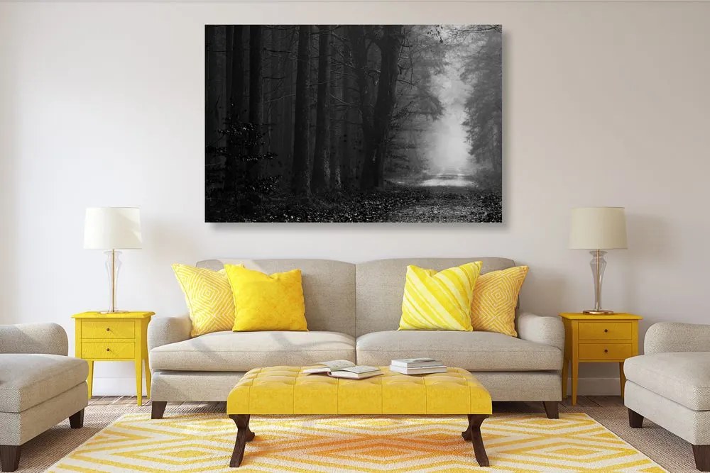 Μονοπάτι εικόνας στο δάσος σε ασπρόμαυρο - 60x40