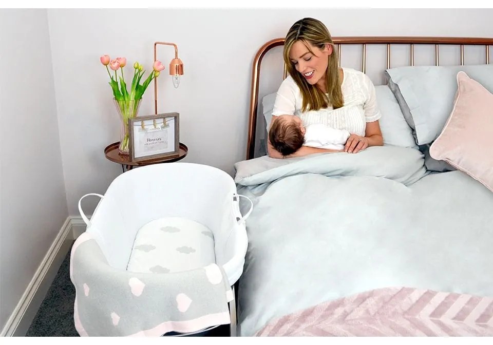 Καλαθούνα με βάση Dreami® Moses grey Shnuggle