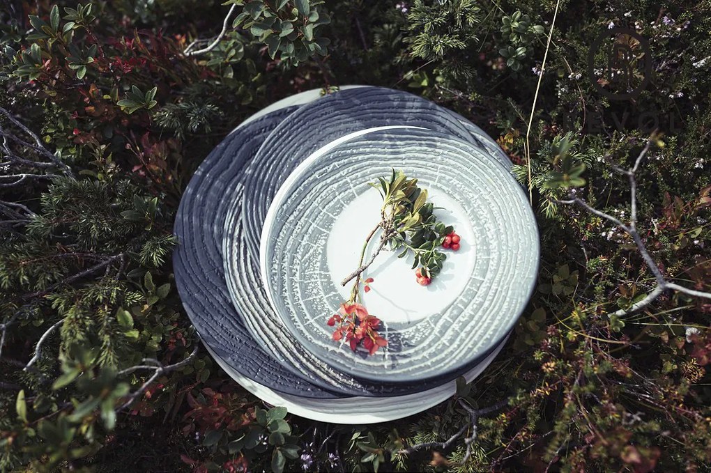 DIS. ARBORESCENCE LIQUORICE DINNER PLATE 26,5M 26,5X26,5X3,2CM | Συσκευασία 6 τμχ