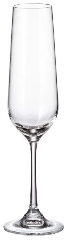 Ποτήρι Κολωνάτο Σαμπάνιας 200ml Strix - Crystal Bohemia - 6 ΤΜΧ