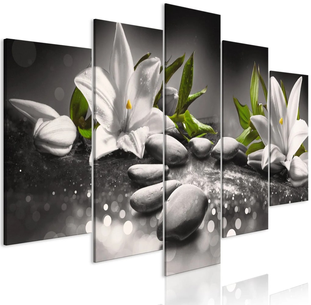 Πίνακας - Lilies and Stones (5 Parts) Wide Grey 200x100