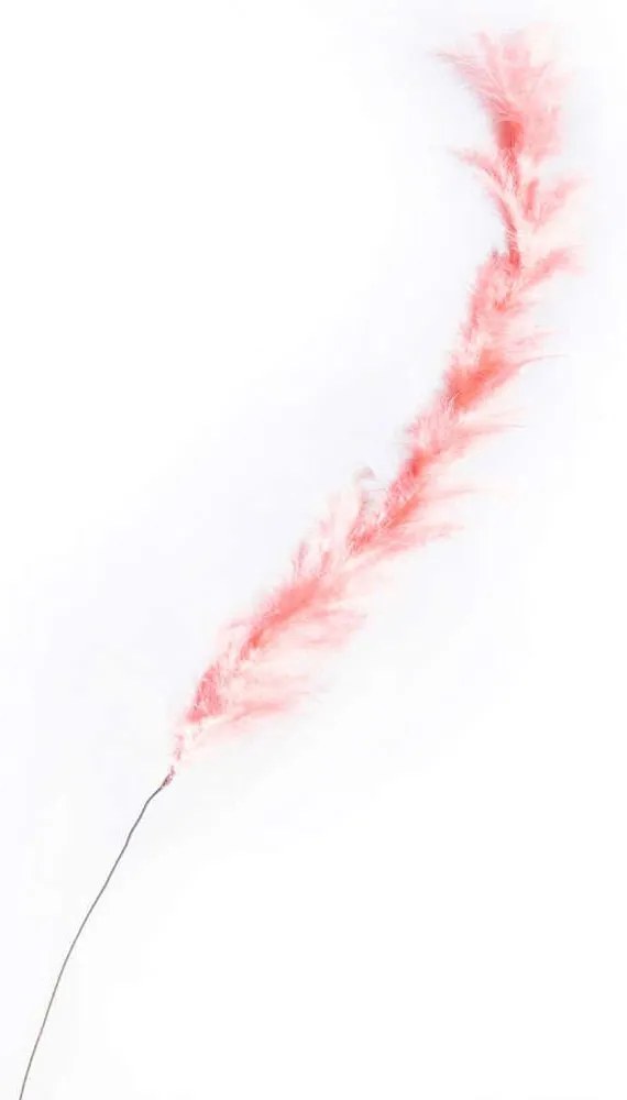 Τεχνητό Κλαδί Φτερό 4780-7 120cm Pink Supergreens Feather