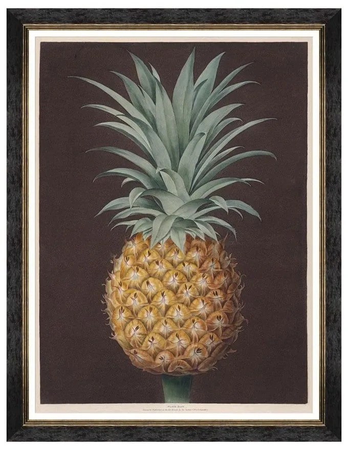 Κάδρο Pineapples Of Antigua - The Havannah Pine By Brookshaw FA13200 60X80 MindTheGap Κάθετοι Wood