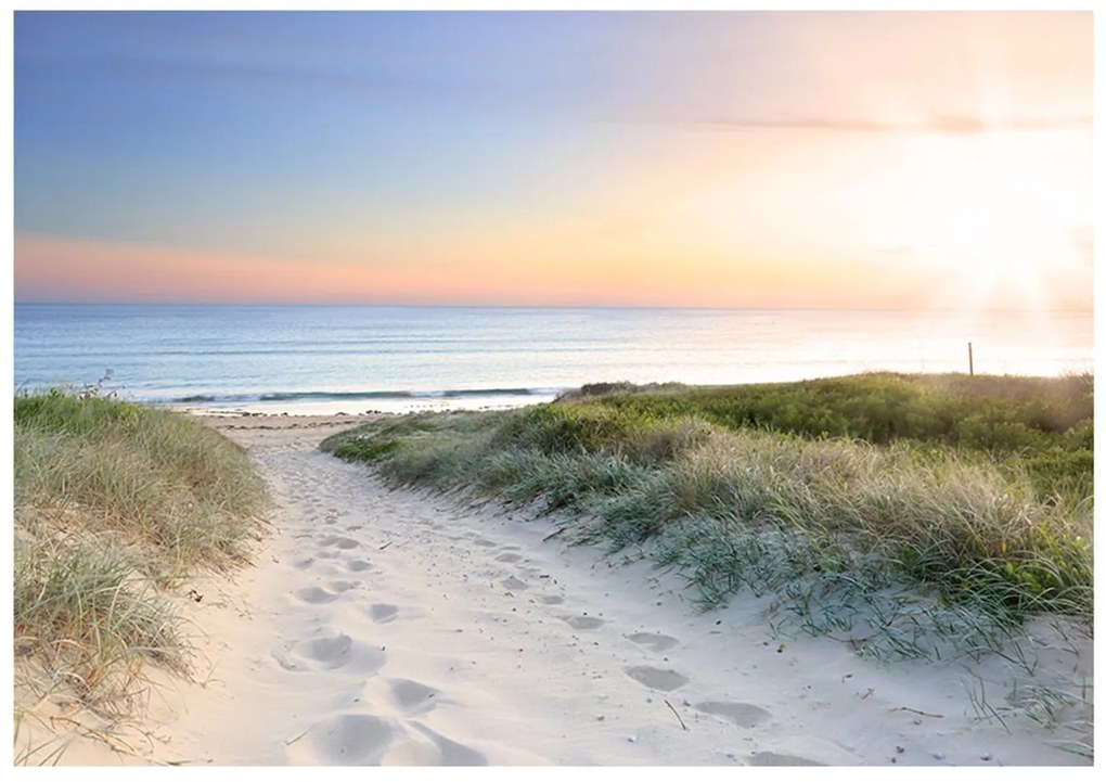 Φωτοταπετσαρία - Morning walk on the beach 100x70