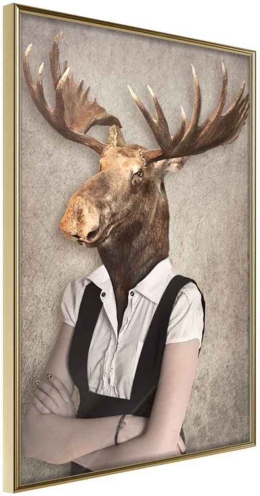 Αφίσα - Animal Alter Ego: Moose - 20x30 - Χρυσό - Χωρίς πασπαρτού