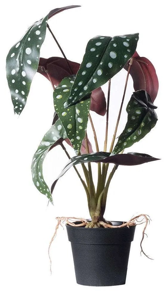 Τεχνητό Φυτό Μπιγκόνια Malucata 0460-6 27x27x40cm Multi Supergreens Polyethylene