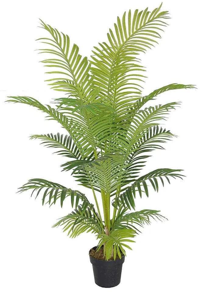 Τεχνητό Δέντρο Αρέκα 2960-6 65x65x150cm Green Supergreens Πολυαιθυλένιο