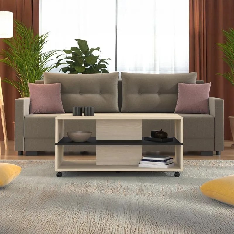 Τραπεζάκι σαλονιού SAVIO σε Light Port Oak - Μαύρο 101x55x48εκ. 101x55x48 εκ.
