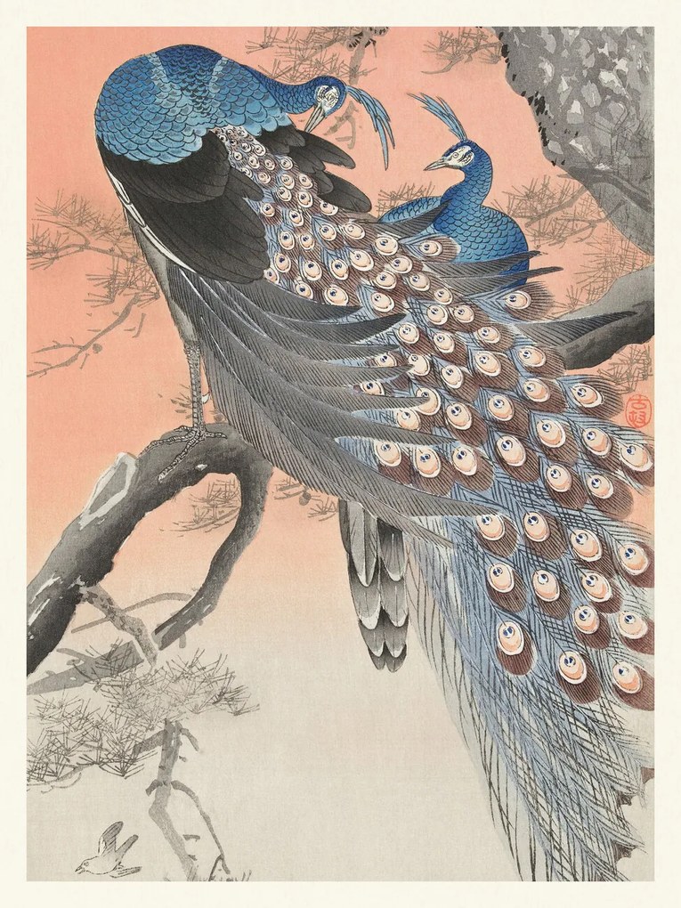 Εκτύπωση έργου τέχνης Two Peackcoks on a Peach Branch (Japandi Vintage) - Ohara Koson, (30 x 40 cm)