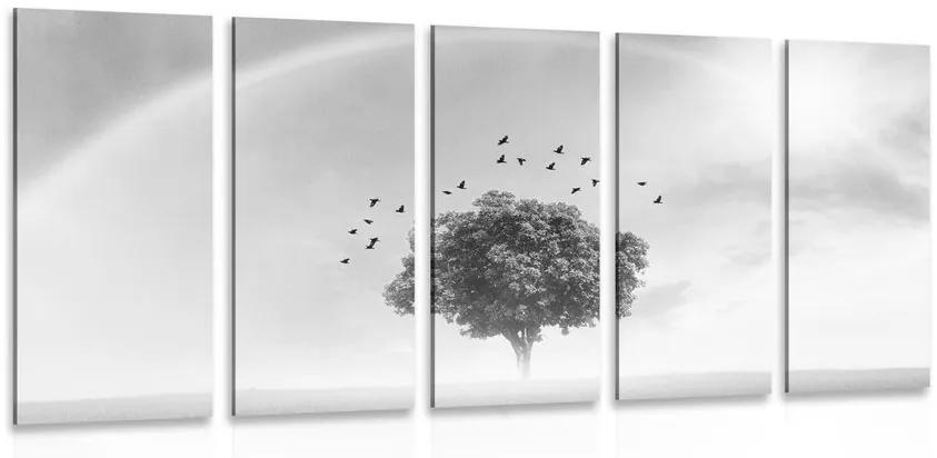 Εικόνα 5 μερών ενός μοναχικού δέντρου σε ένα λιβάδι σε ασπρόμαυρο