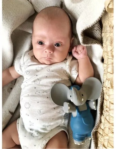 Μασητικό παιχνίδι "SQUEAKER ALVIN ο ελεφαντάκος" MEIYA & ALVIN