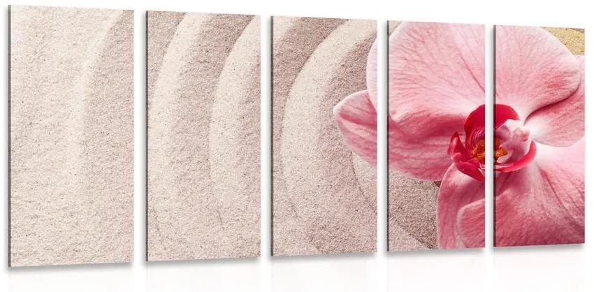 Εικόνα 5 μερών περισσότερη άμμος και ροζ ορχιδέα - 100x50
