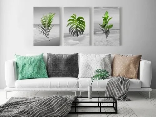 Πίνακας - Plants (Collection) - 120x60