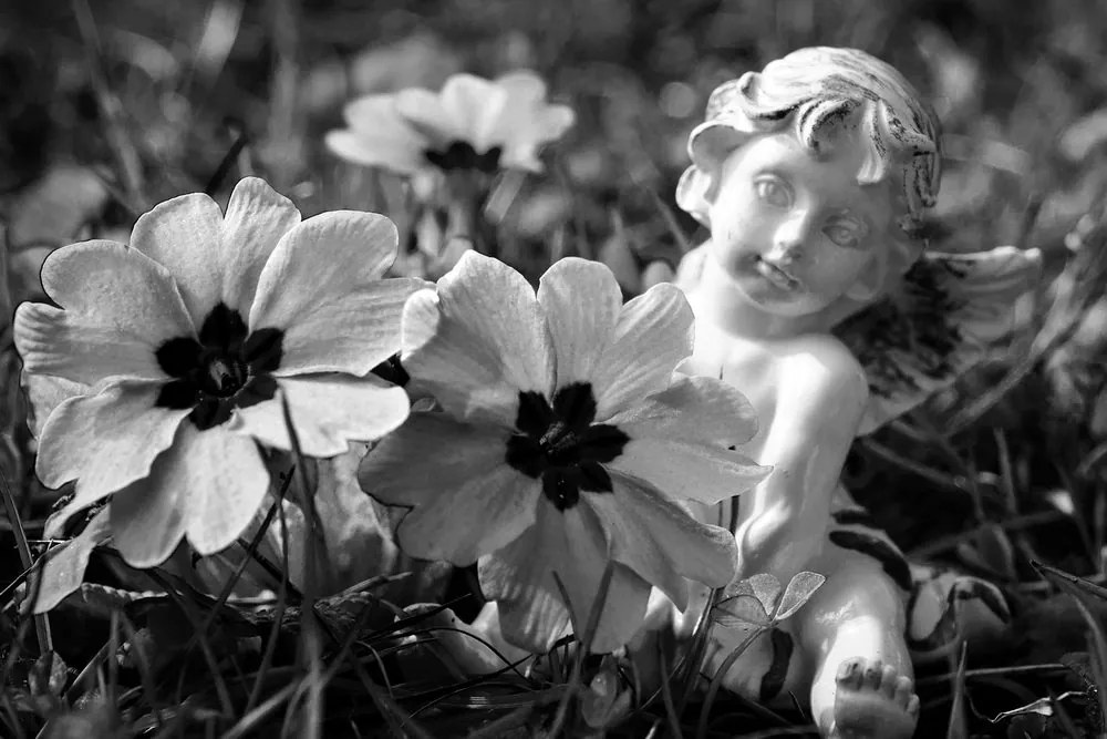 Εικόνα αγγέλου στον κήπο σε ασπρόμαυρο - 60x40