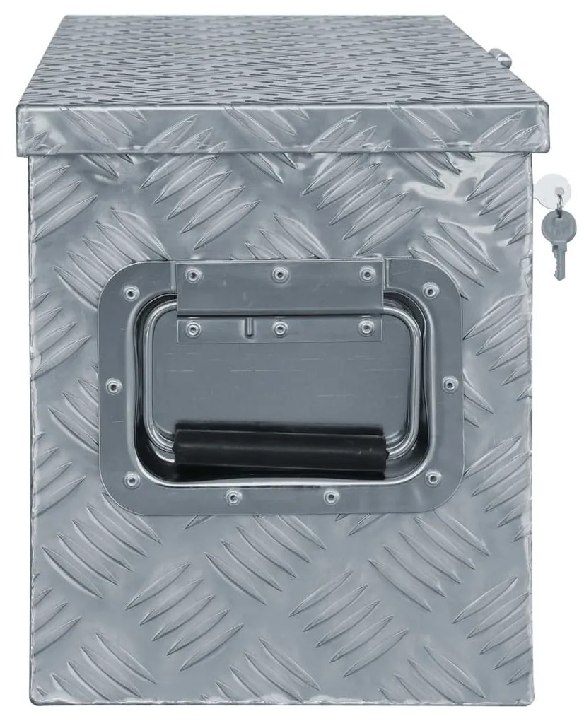 Κουτί Αποθήκευσης Ασημί 61,5 x 26,5 x 30 εκ. Αλουμινίου - Ασήμι