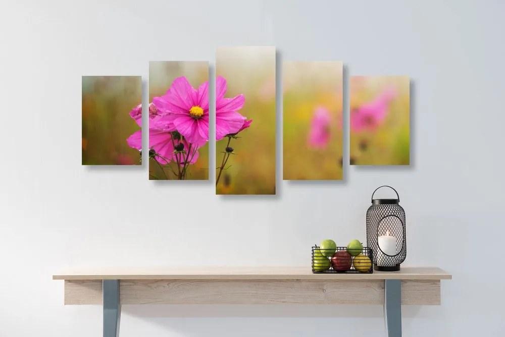 Εικόνα 5 μερών ενός ανθισμένου ροζ λουλουδιού - 100x50