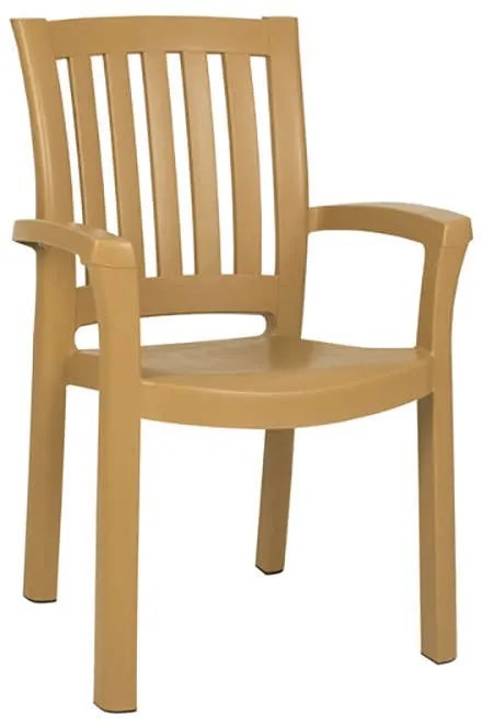 ΚΑΡΕΚΛΑ ΠΛΑΣΤΙΚΗ SKG MALIBU TEAK