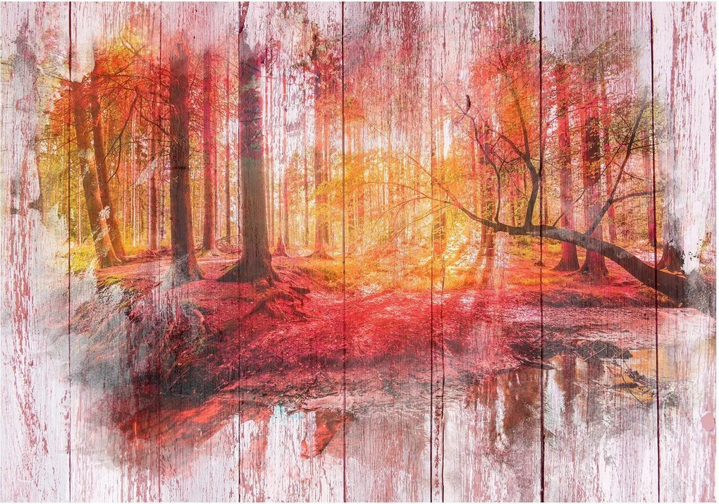 Αυτοκόλλητη φωτοταπετσαρία II- Autumnal Forest - 343x245