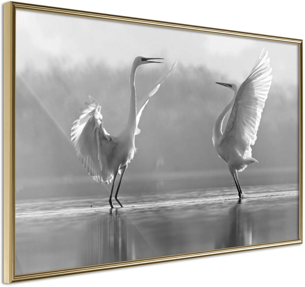 Αφίσα - Black and White Herons - 30x20 - Χρυσό - Χωρίς πασπαρτού