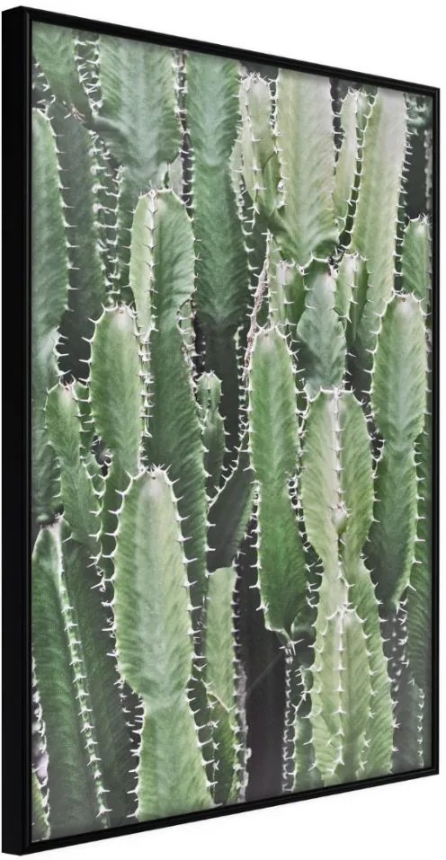 Αφίσα - Cactus Plantation - 20x30 - Μαύρο - Χωρίς πασπαρτού