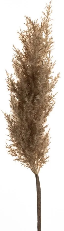 Κλαδί Με Pampas Καφέ 100εκ. iliadis 84721
