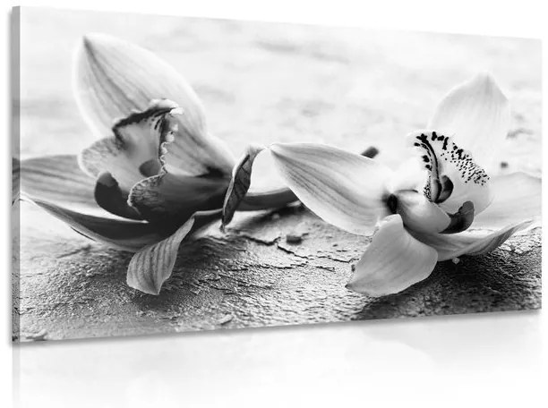 Εικόνα δύο λουλουδιών ορχιδέας σε μαύρο & άσπρο - 120x80