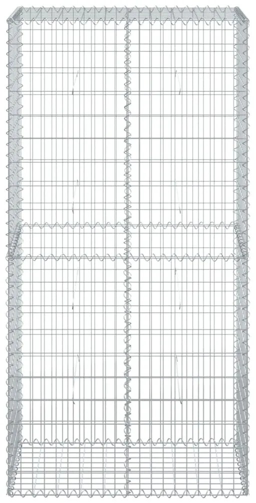 vidaXL Συρματοκιβώτιο με Κάλυμμα 100x50x200εκ. από Γαλβανισμένο Χάλυβα