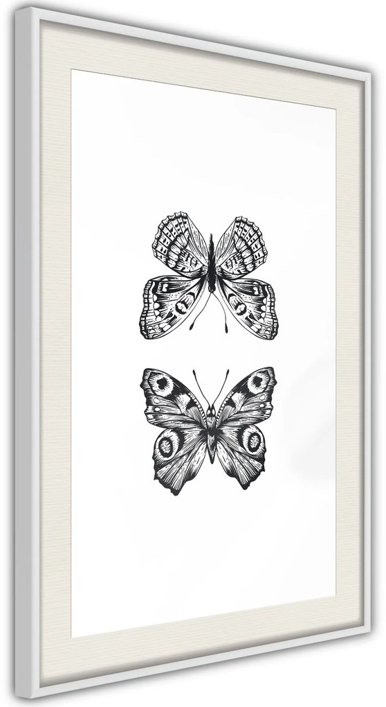 Αφίσα - Butterfly Collection I - 20x30 - Μαύρο - Χωρίς πασπαρτού