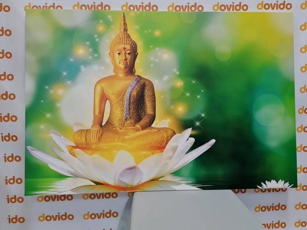 Εικόνα του χρυσού Βούδα σε λουλούδι λωτού - 120x80