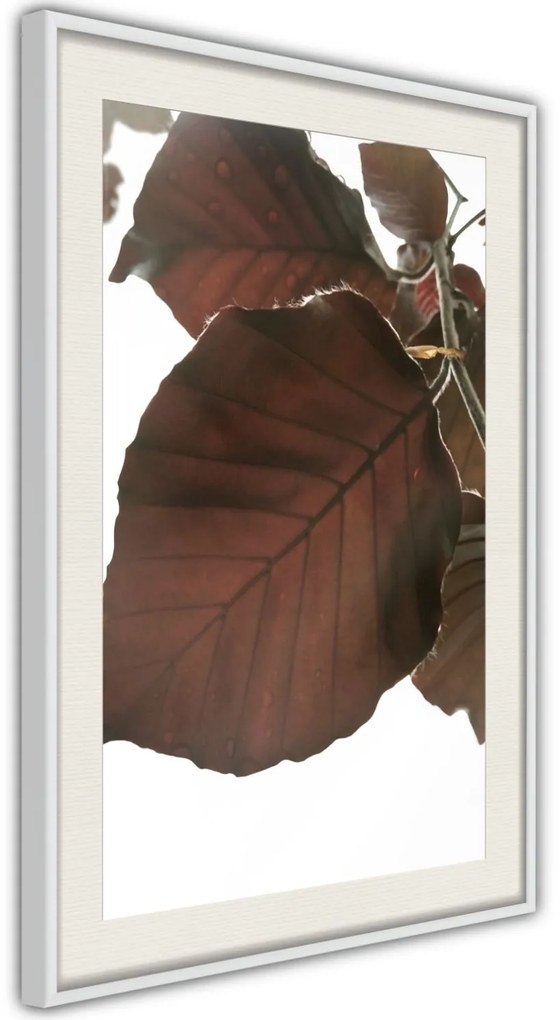 Αφίσα - Burgundy Tilia Leaf - 20x30 - Χρυσό - Χωρίς πασπαρτού