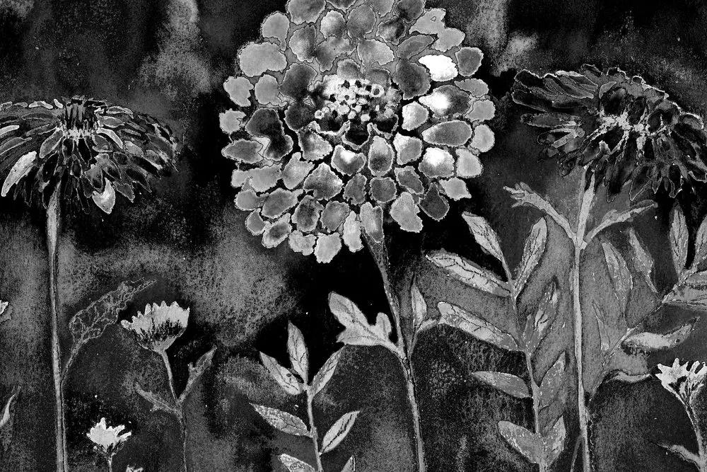 Φωτογραφίστε όμορφα λουλούδια σε μαύρο και άσπρο - 60x40